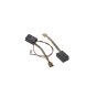Carbon Brush Support For Wacker EH 6 M/115 Breakers - OEM No. 5000217704