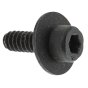 Screw for Husqvarna 323 HD60, 323 RII, 325 Pole Pruner - OEM No. 503 21 77 16