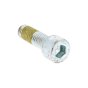 Cheese Head Screw for Wacker WP1550A & VP1340A Compactor - OEM No. 5100029787