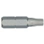 Torx Insert Bit 25mm Size 40 for Addax - 2 Pack