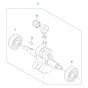 Crankshaft Assembly for 531RB