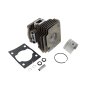 Kit &Cylinder for Husqvarna 129R,129RJ, 325R Brushcutters - 545 00 80-91
