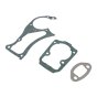 Gasket Kit for Husqvarna 235, 550 XP Chainsaws - 577 76 66 03