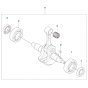 Crankshaft Assembly for 590BFS