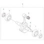 Crankshaft Assembly for 590BTS
