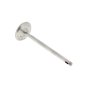 Valve (1.3/4'' Head 4.3/4'' O/H Length) for Jap Industrial Valve - 6207/2
