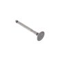 Valve, Exhaust for Kohler Engines