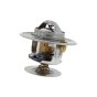 Thermostat for Lister Petter LPW2, LPW4, LPW3 Engines - 751 40982