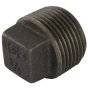 Square Headed Plug 1/2" BSP- Malleable Iron