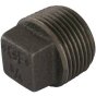 Square Headed Plug 1" BSP - Malleable Iron