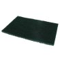 Nylon Scouring Pad for General Use - Green