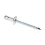 POP Rivets Standard Flange Aluminium 4.8mm x 14mm Pack of 500