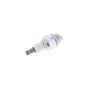 BPMR8Y (NGK Sparkplug) for Kawasaki Engines - OEM No. 920702115