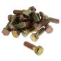 M16 x 50mm Zinc Plated 8.8 Steel Bolt 25 Pack