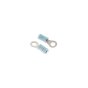 Scratch Test Nail (for hire industry) for Arbortech Allsaw AS175 - A17571