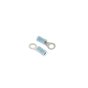 Scratch Test Nail (for hire industry) for Arbortech Allsaw AS175 - A17571