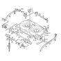 Housing Support for AMM 436
