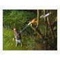 PS7525 Corded Pole Saw 25cm Bar 800 Watt 240 Volt by Black & Decker - PS7525-GB