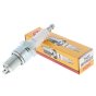 NGK BPR6ES Spark Plug Genuine - 7822 - Sold Individually