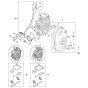 Muffler & Ignition System