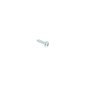 Screw for Briggs & Stratton Engines - OEM No. 591049
