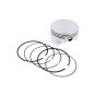 Piston Assembly for Briggs & Stratton 100602, 100605 Engines - 793519