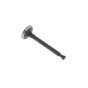 Valve-Intake - Briggs & Stratton - 797198