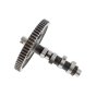 Camshaft for Briggs & Stratton 541477-0135-J1, 541477-0136-J1 Engines - 847381