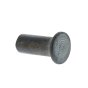 Rivet for Camon/BCS 30", 32", 40" Cutter Bars - OEM No. 33112609