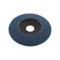 Makita Flap Disc 125x22.23mm for Metal - OEM No. D-63797