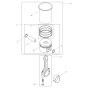 Cylinder, Piston Assembly