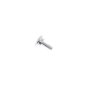 Screw for ECHO Machines - OEM No. 17723661830