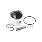 Piston Assy For Echo ES-250S, EB250, PB-250 Blower - OEM No. P021017410