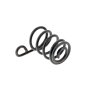 Compression Spring for Echo CS-2511TES, CS-2510TES, 251TCS Chainsaws - OEM No. V450002070