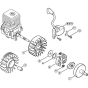 Ignition & Clutch for Stihl FC 55 DZ