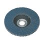 Flap Disc Zirconium Dia.100mm 16mm Bore 80Grit Sealey Part No. FD10080