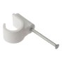 Pipe Clip with Masonry Nail 22mm Box 100 by Forgefix - PCMN22