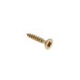 Spectre Screw PZ Compatible CSK ZYP 3.0 x 16mm sawtooth thread (Box 200)