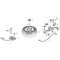Flywheel & Ignition Coil for Honda