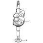 Crankshaft for Honda HRG465C2