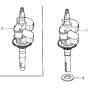 Crankshaft for Honda HRX537C2