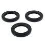 Oil Seal Kit for Interpump WS201 Water Pump
