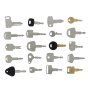 Set of 20 Popular Plant Keys