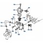 Water Flange Assembly
