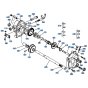 Transmission Assembly for Kubota W5021-SCC Mower