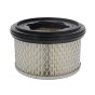 Air Filter for Lombardini 15LD440 & 15LD400 Engines - OEM No. 2175 306