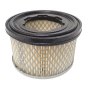 Air Filter fits Lombardini 15LD400, 15LD440 Engines - Replaces: 2175-306