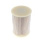 Fuel Filter for Troller T4 Engine
