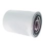 Hydraulic Filter fits Timberwolf TW 230DHB, TW 280TDHB Chipper - Non-Genuine
