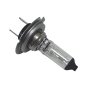 Halogen Bulb 12v H7 Cap PX26d for Vehicle Headlights (Each)